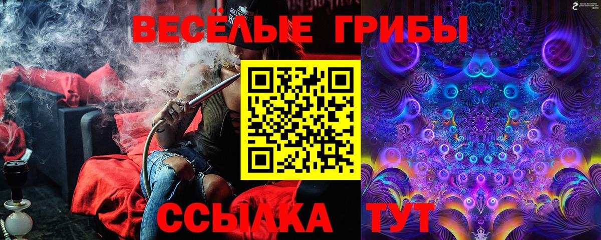 Псилоцибиновые грибы Psilocybine cubensis  Псилоцибиновые грибы ЛСД  Вход с VPN  Кемерово 